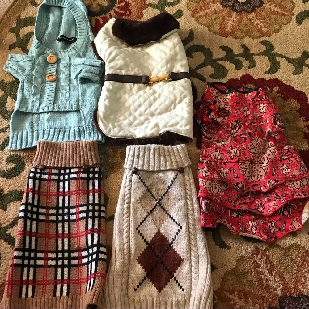 Dog clothes outfits boots Barkley tanner dash dachshund wiener dog puppy medium - Picture 1 of 12